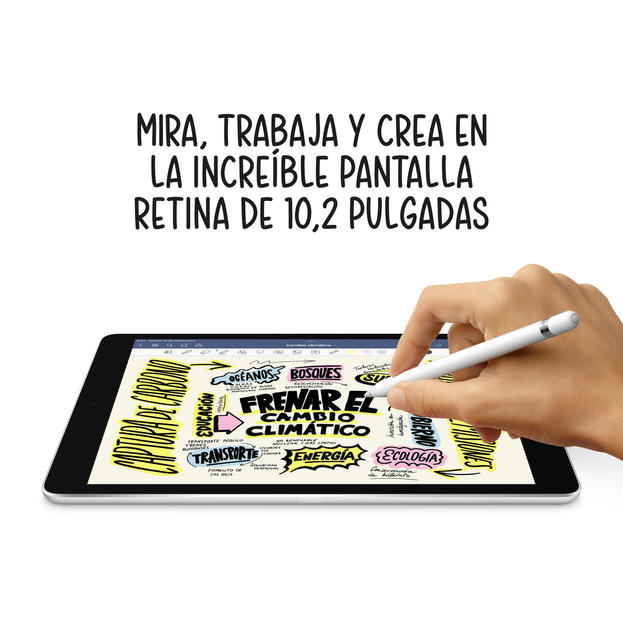 iPad 10,2"