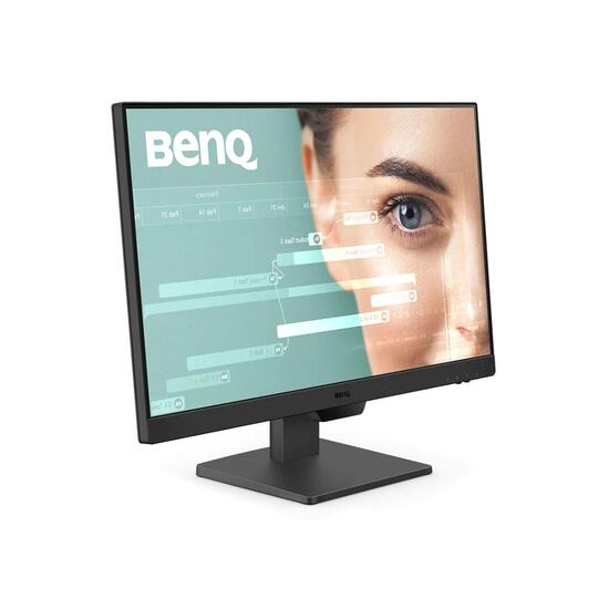 Benq GW2490 Monitor 23,8" FHD IPS 100Hz HDMI 